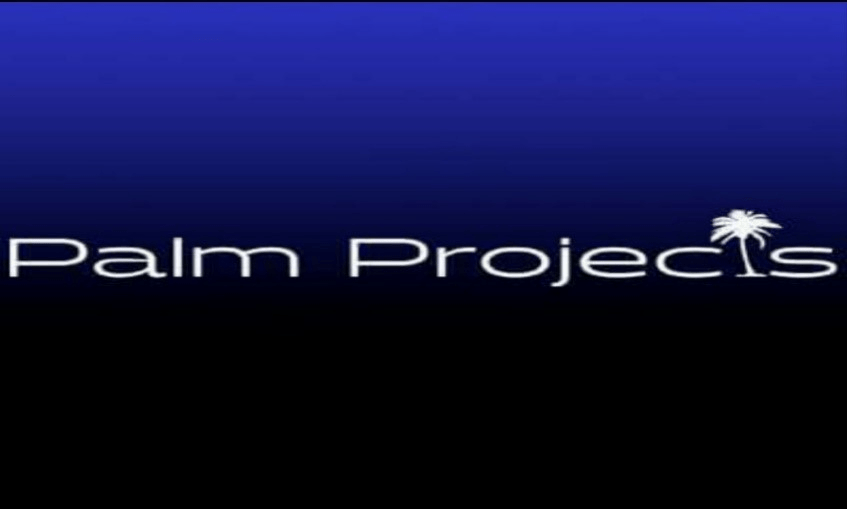 Palm Projects - Telecom Service Delivery Manager